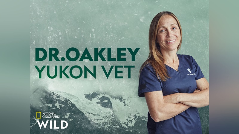 Dr Oakley Yukon Vet Controversy: Fact or Fiction? 1